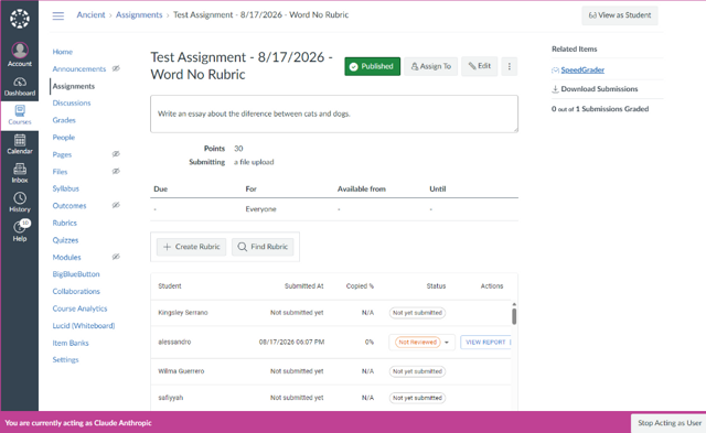 SpeedGrader sidebar comments showing direct Checkmark report URL link