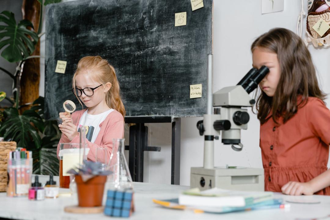 AI Tools in the Classroom: A Practical Guide to Usage, Detection, and Integrity
