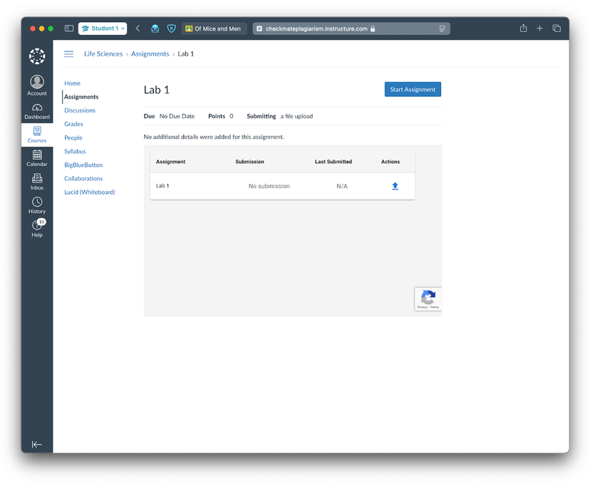 Student view of Checkmark Plagiarism submission interface in Canvas